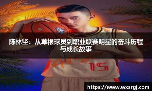 伟德bv国际体育